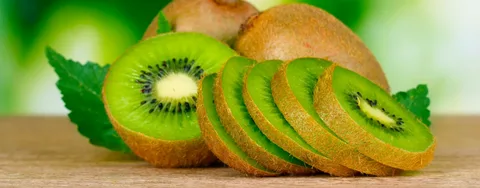 تصویر 1 از خرید کیوی صادراتی روسیه + قیمت عالی باکیفیت